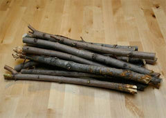 Small Bundle of Sticks